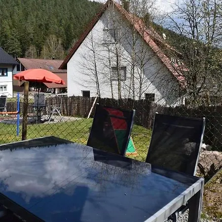 Schwarzwaldhaus Zwink Lejlighed *