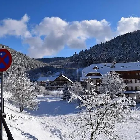 Schwarzwaldhaus Zwink Lejlighed Enzklösterle