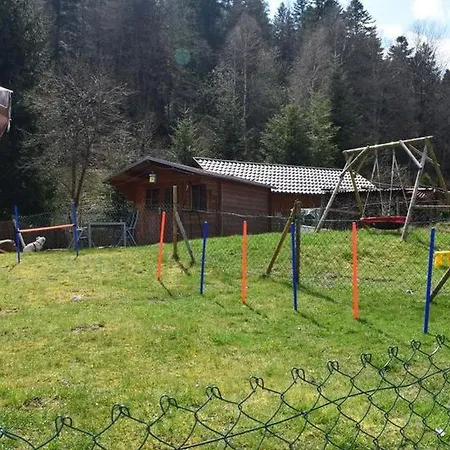 Schwarzwaldhaus Zwink Lejlighed Enzklösterle
