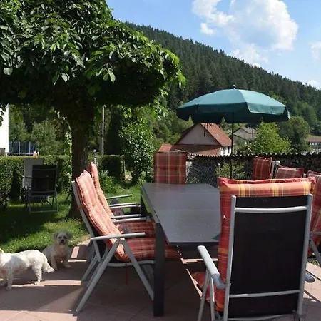 Lejlighed Schwarzwaldhaus Zwink