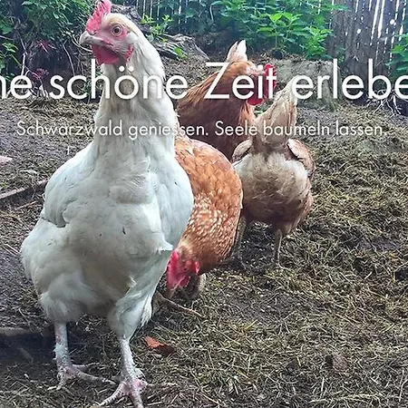 Schwarzwaldhaus Zwink *