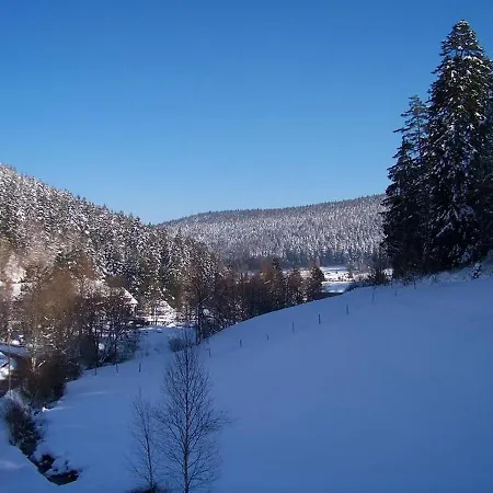 Schwarzwaldhaus Zwink