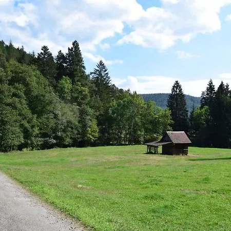 Schwarzwaldhaus Zwink Lejlighed *