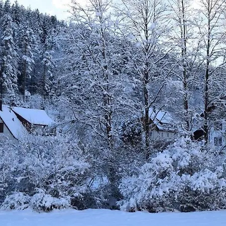 Schwarzwaldhaus Zwink Lejlighed