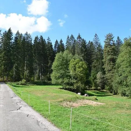 Schwarzwaldhaus Zwink Lejlighed Enzklösterle