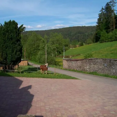 Schwarzwaldhaus Zwink *