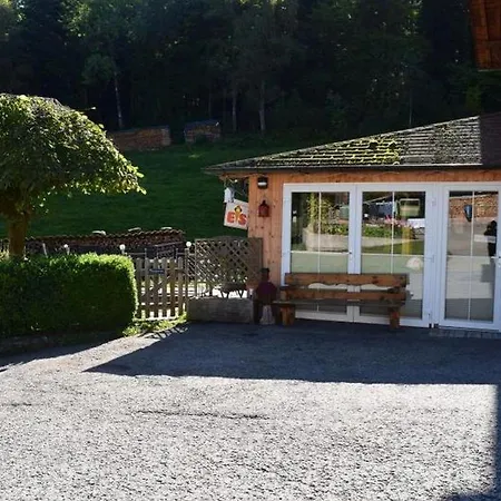 Schwarzwaldhaus Zwink Lejlighed *