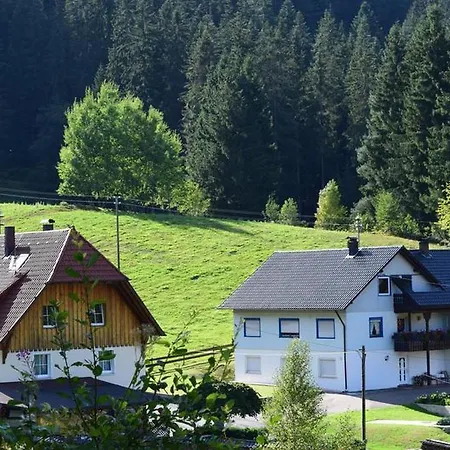 Schwarzwaldhaus Zwink Enzklösterle